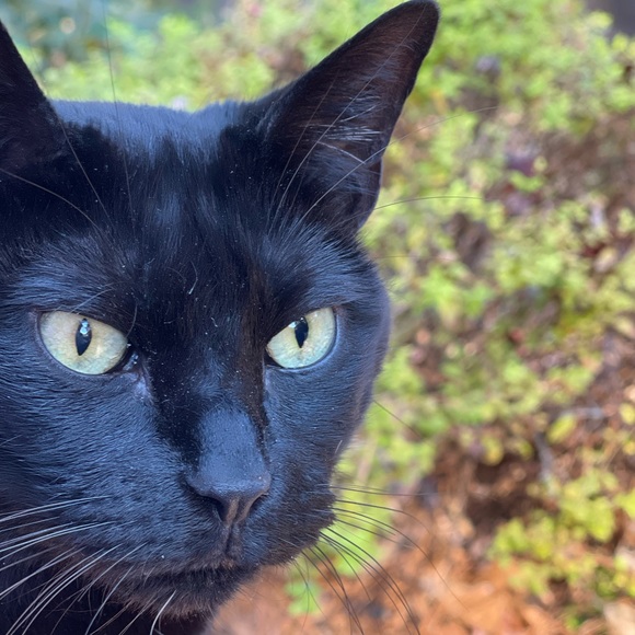 Meet your Posher, Jen - Picture 7 of 14